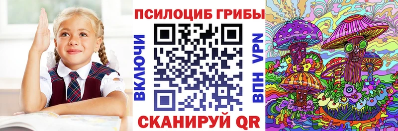 Галлюциногенные грибы Cubensis  Купить где  Светлоград 